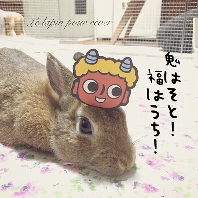 mashiさんの実例写真