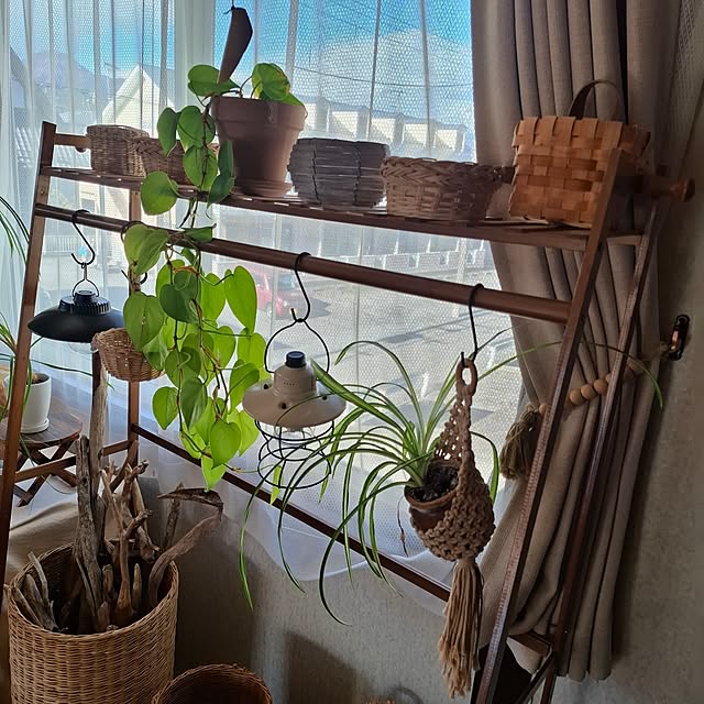 midoriさんの部屋