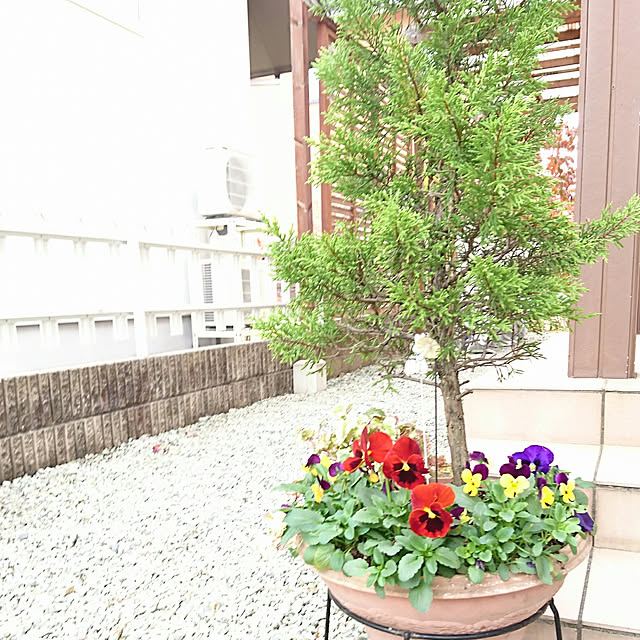 oliveさんの実例写真