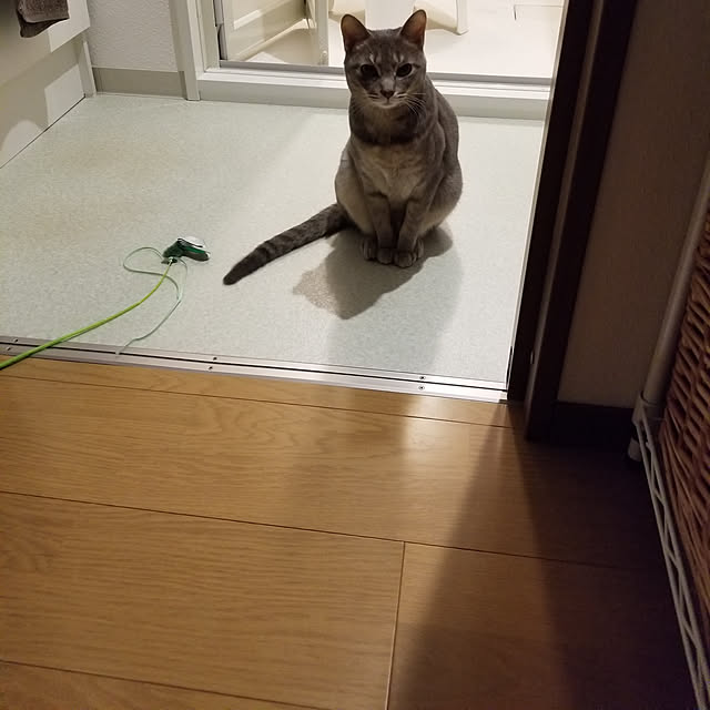 yukiさんの実例写真