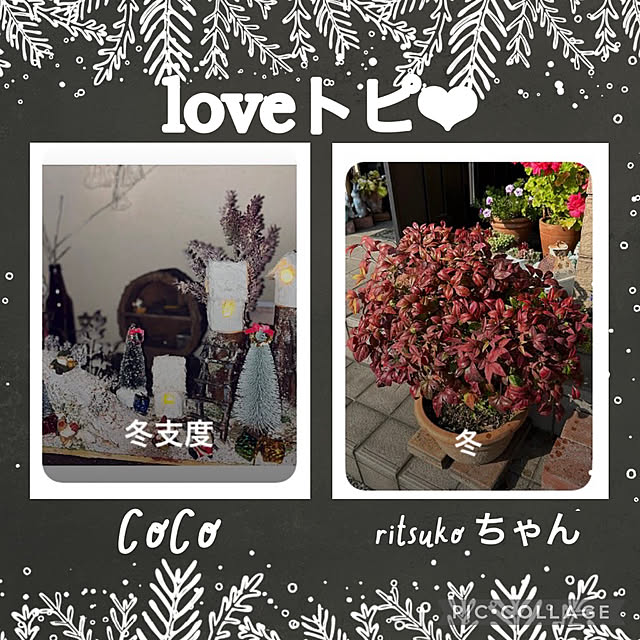 CoCo0617さんの実例写真