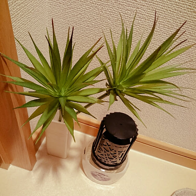 ailoop628さんの実例写真