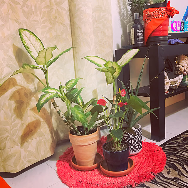 yuhyang.171222さんの実例写真