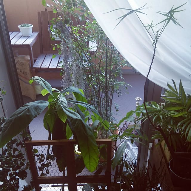 satominさんの実例写真