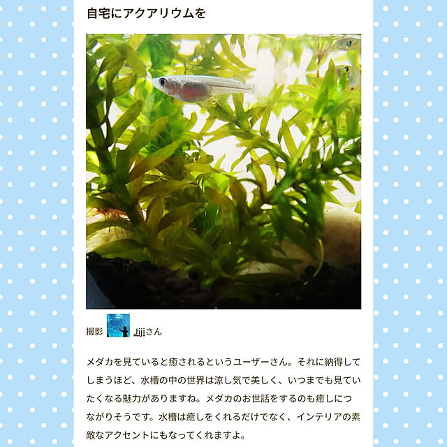 Jijiさんの実例写真
