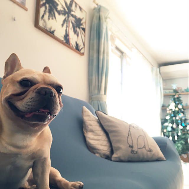 mimiさんの実例写真