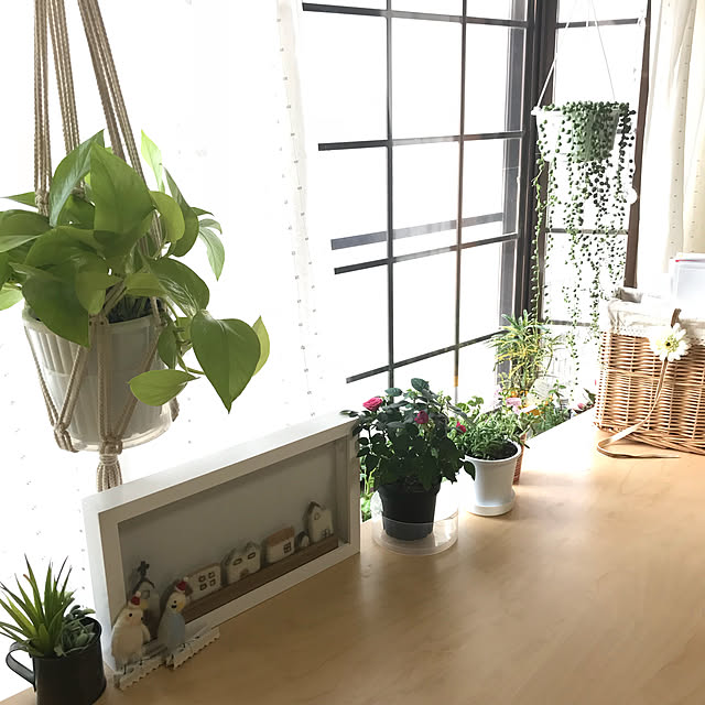 collonさんの実例写真