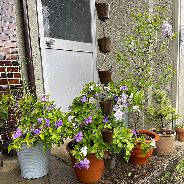 shin0719さんの実例写真