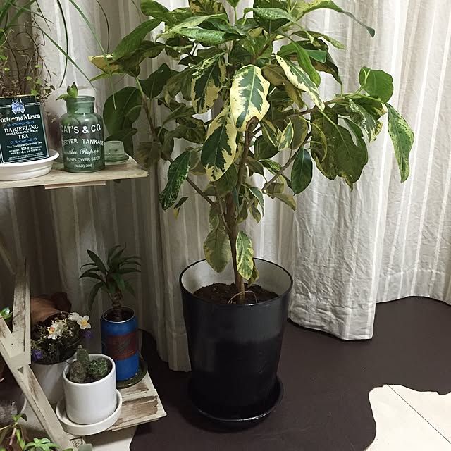 yumi_sさんの実例写真