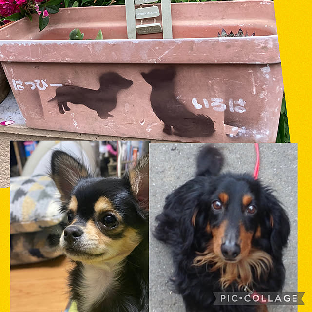 shoさんの実例写真