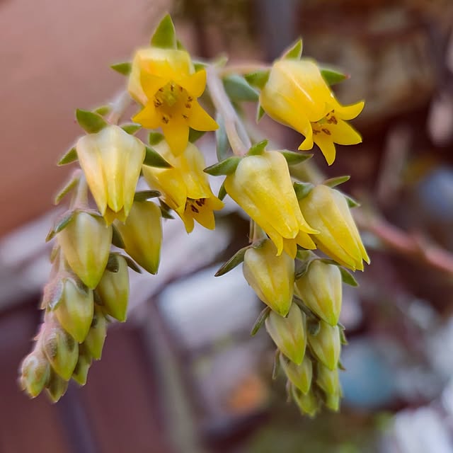 mocomocoさんの部屋