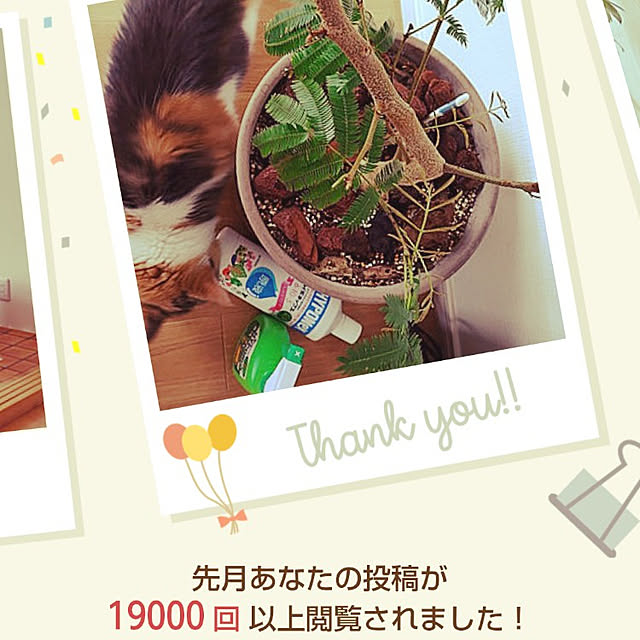 +CHIHARU+さんの実例写真
