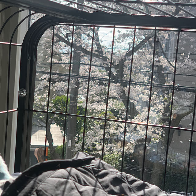 masakoさんの部屋
