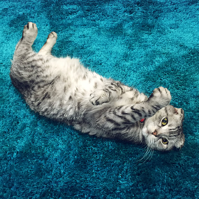 Hanaoさんの実例写真