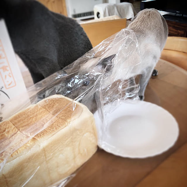 mujinekoさんの実例写真