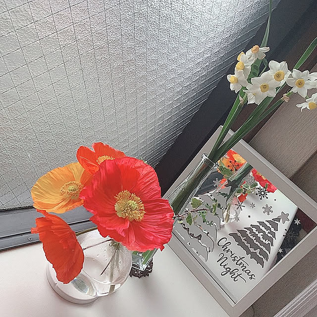 pincotanさんの実例写真