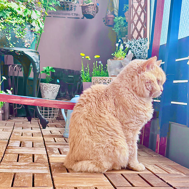 naokoさんの部屋