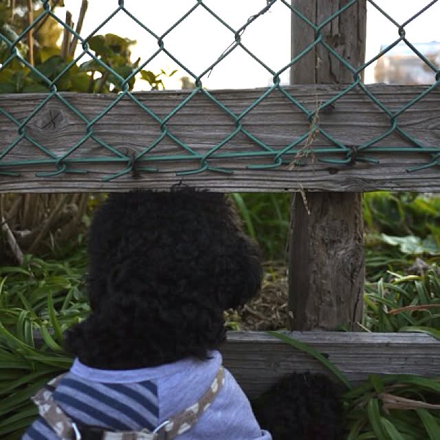 keitanさんの実例写真