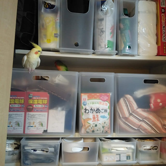 toratanさんの実例写真