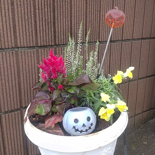 mska1114さんの実例写真