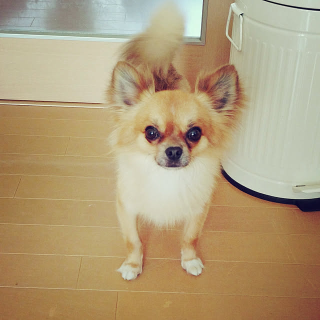 rie20さんの実例写真