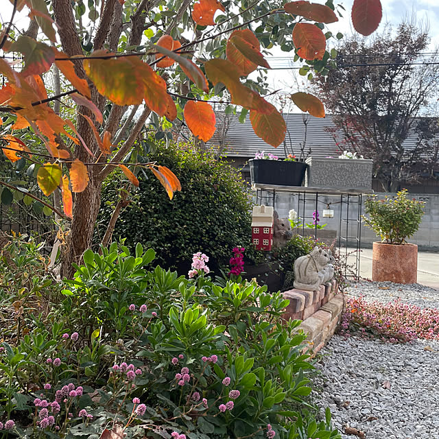 ronronさんの部屋