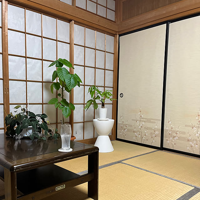 Attaさんの実例写真