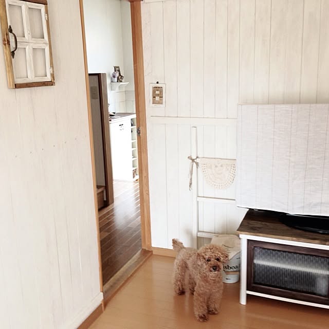 rookuさんの実例写真