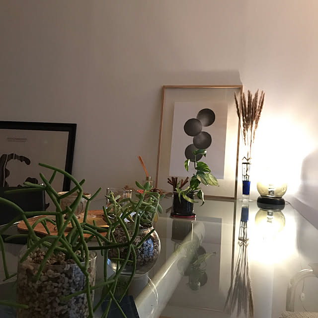 salon.yさんの実例写真