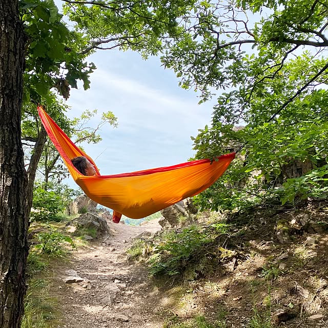 LA_SIESTA_hammockJPさんの実例写真