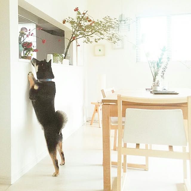 mayuさんの実例写真