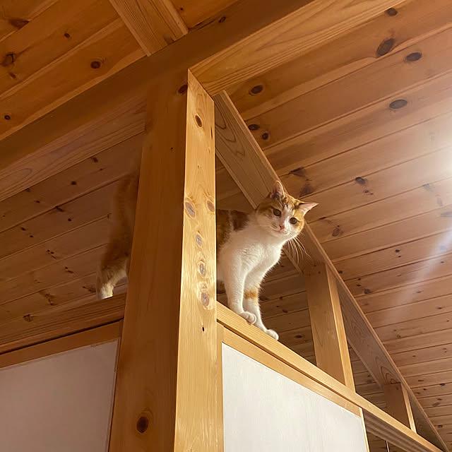 senbei.sakuramochiさんの部屋