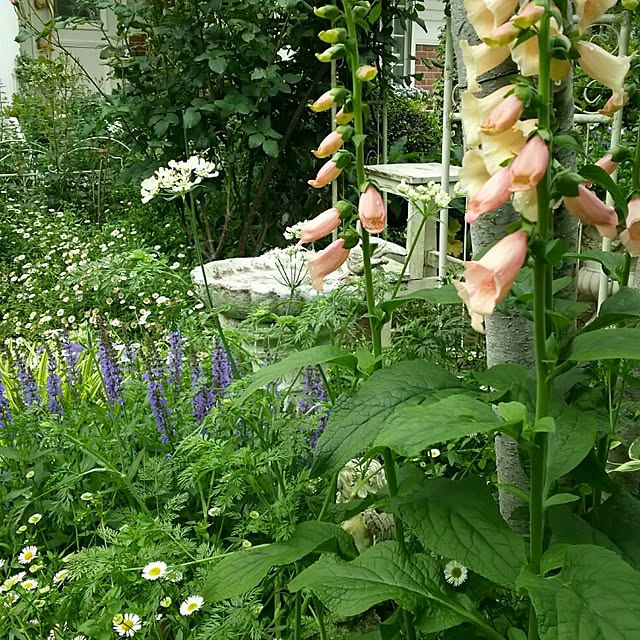 s.mamaさんの実例写真
