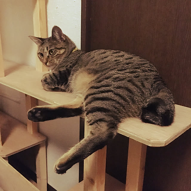 Mさんの実例写真