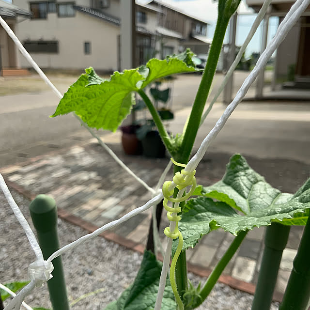 chiiyanさんの部屋