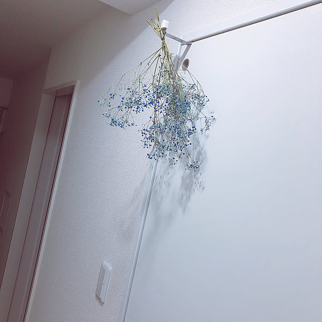 kopponさんの実例写真