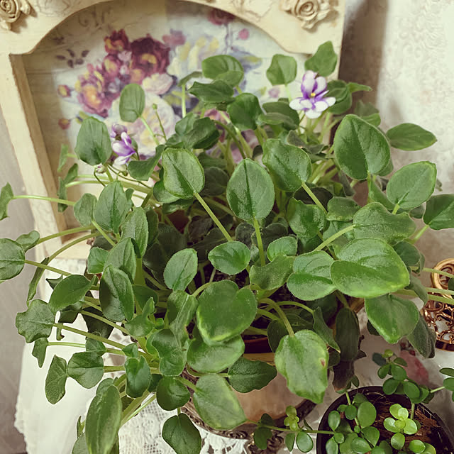 AYUKOさんの実例写真