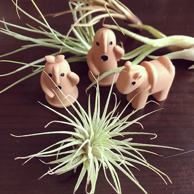 seiさんの実例写真