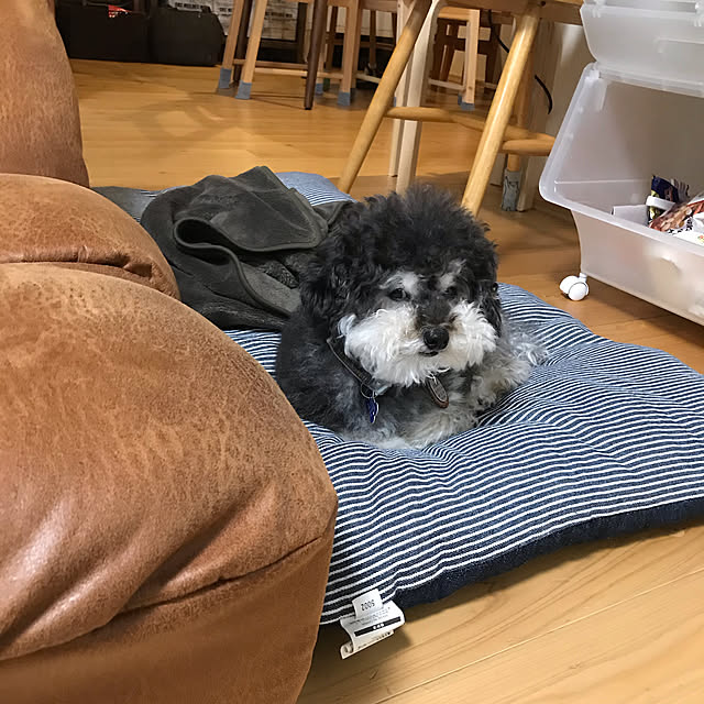 mtktr04さんの実例写真