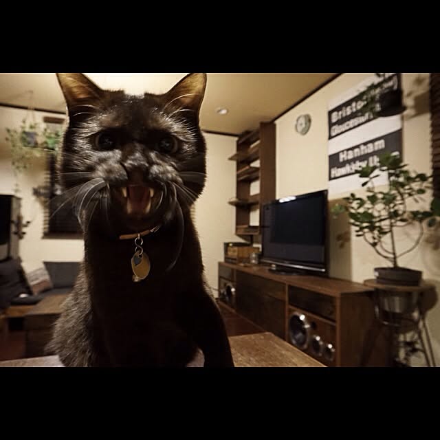 jnkaiさんの実例写真