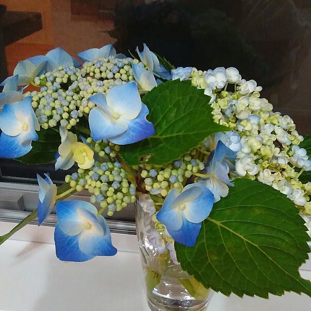 Yumiさんの実例写真