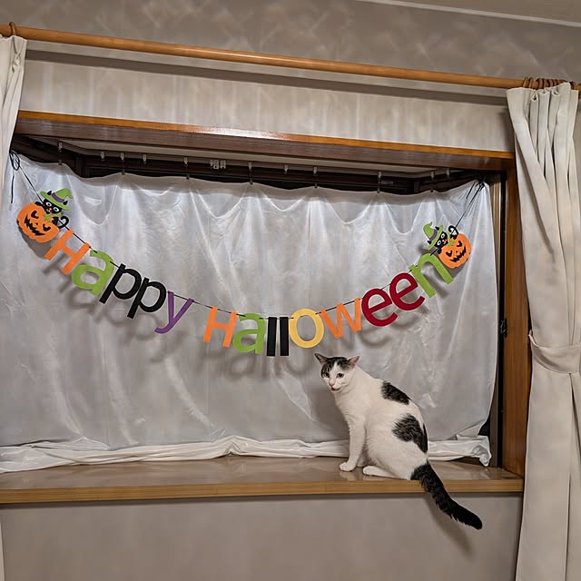 mimoさんの実例写真