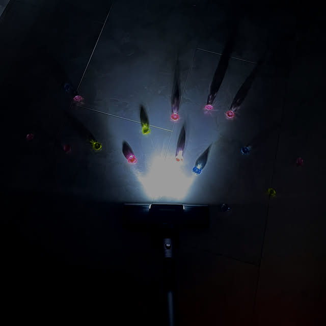 tomotomomoさんの部屋