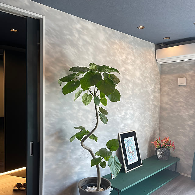 Bymhomeさんの部屋