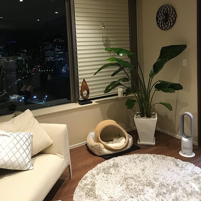 kotabaro1049さんの実例写真