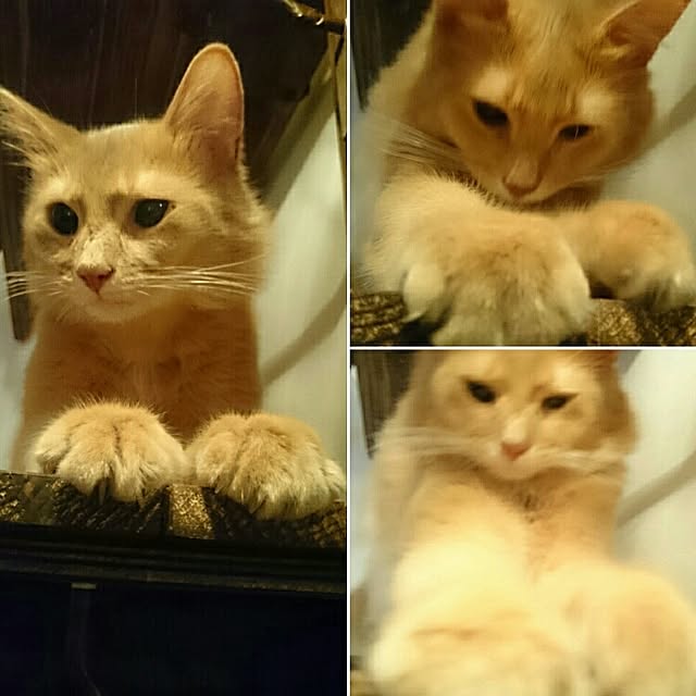 1ldksさんの実例写真