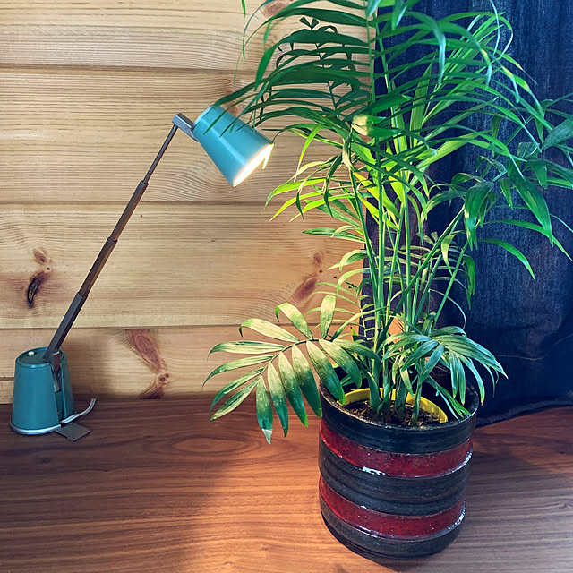 Syunsukeさんの実例写真