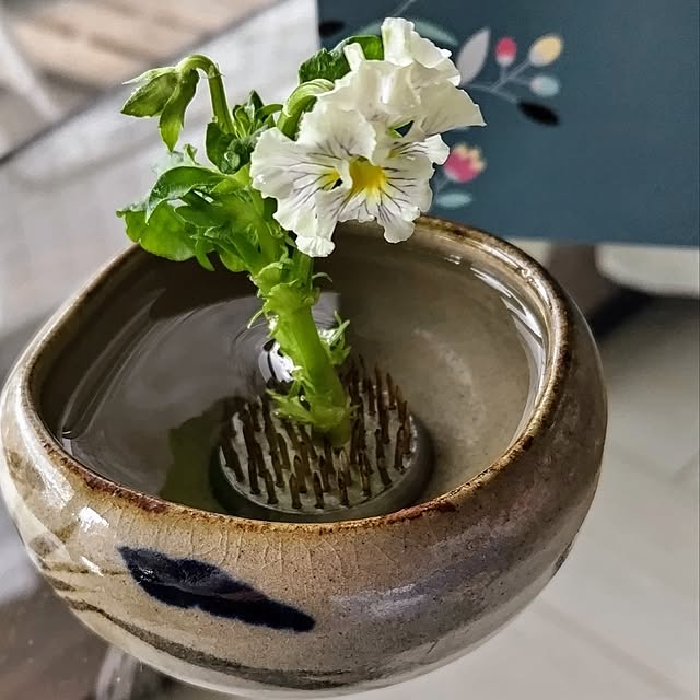 mi-saさんの部屋