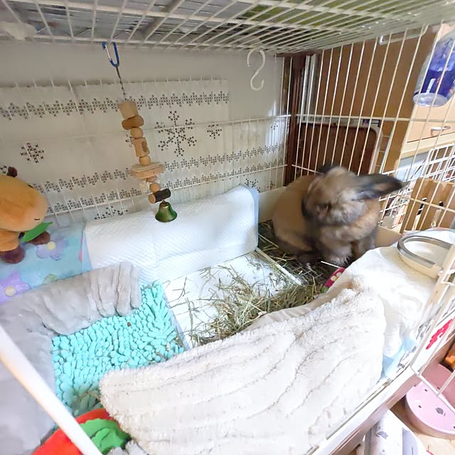 mariaさんの実例写真