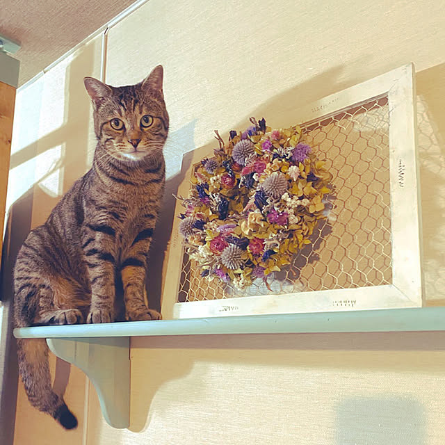 tyuさんの実例写真